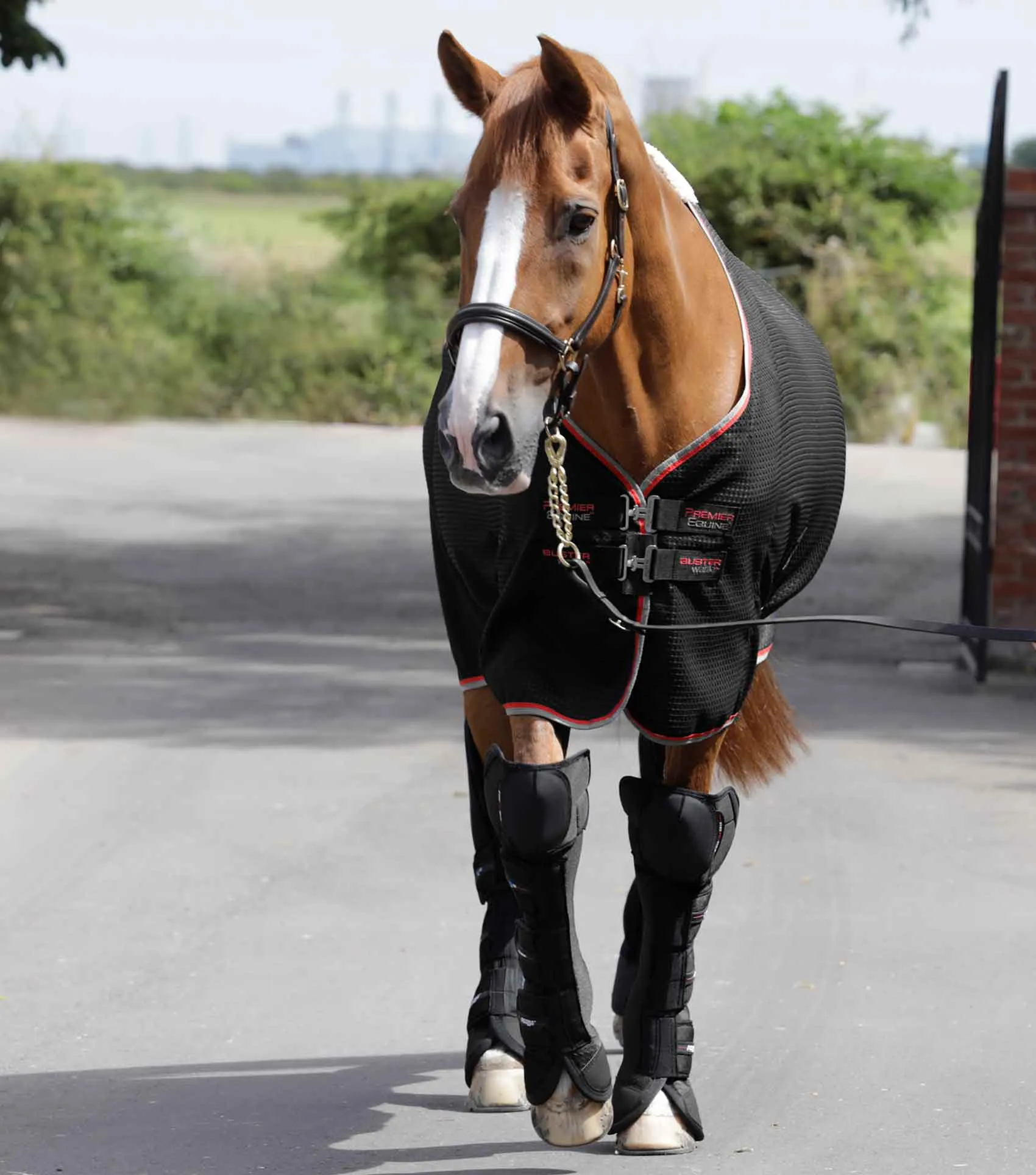 Airtechnology Knee Pro-Tech Horse Travel Boots Black