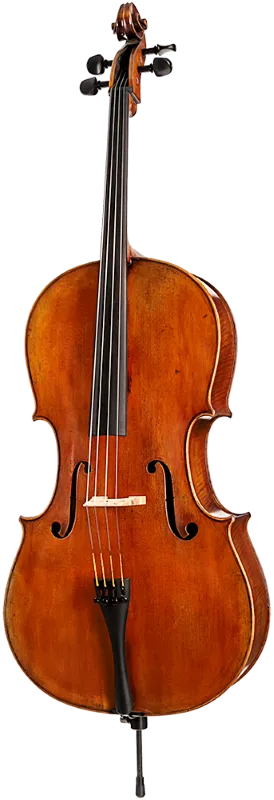 CS4500 Core Select Professional Cello with Bag