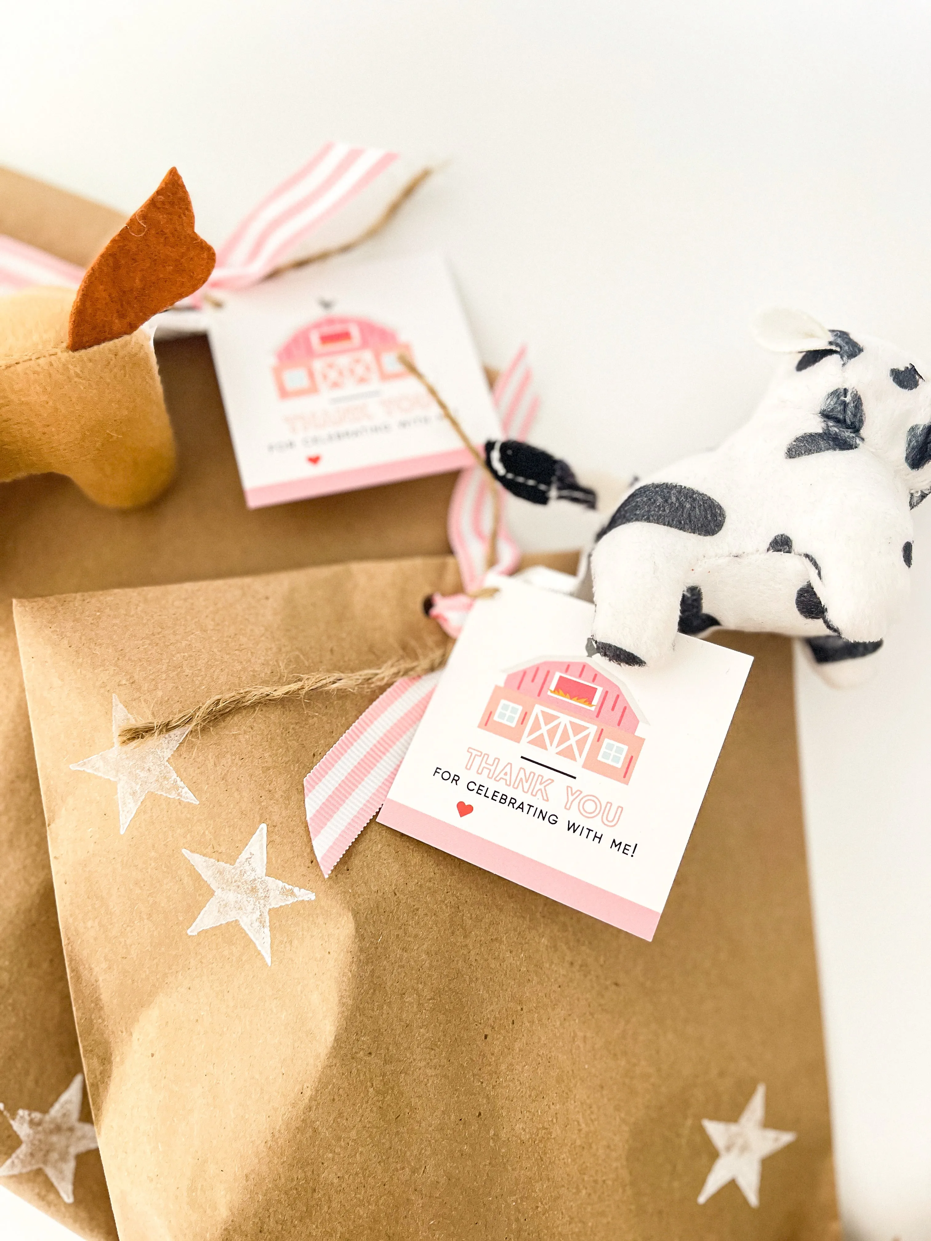 Farm Favor Bag - Pink