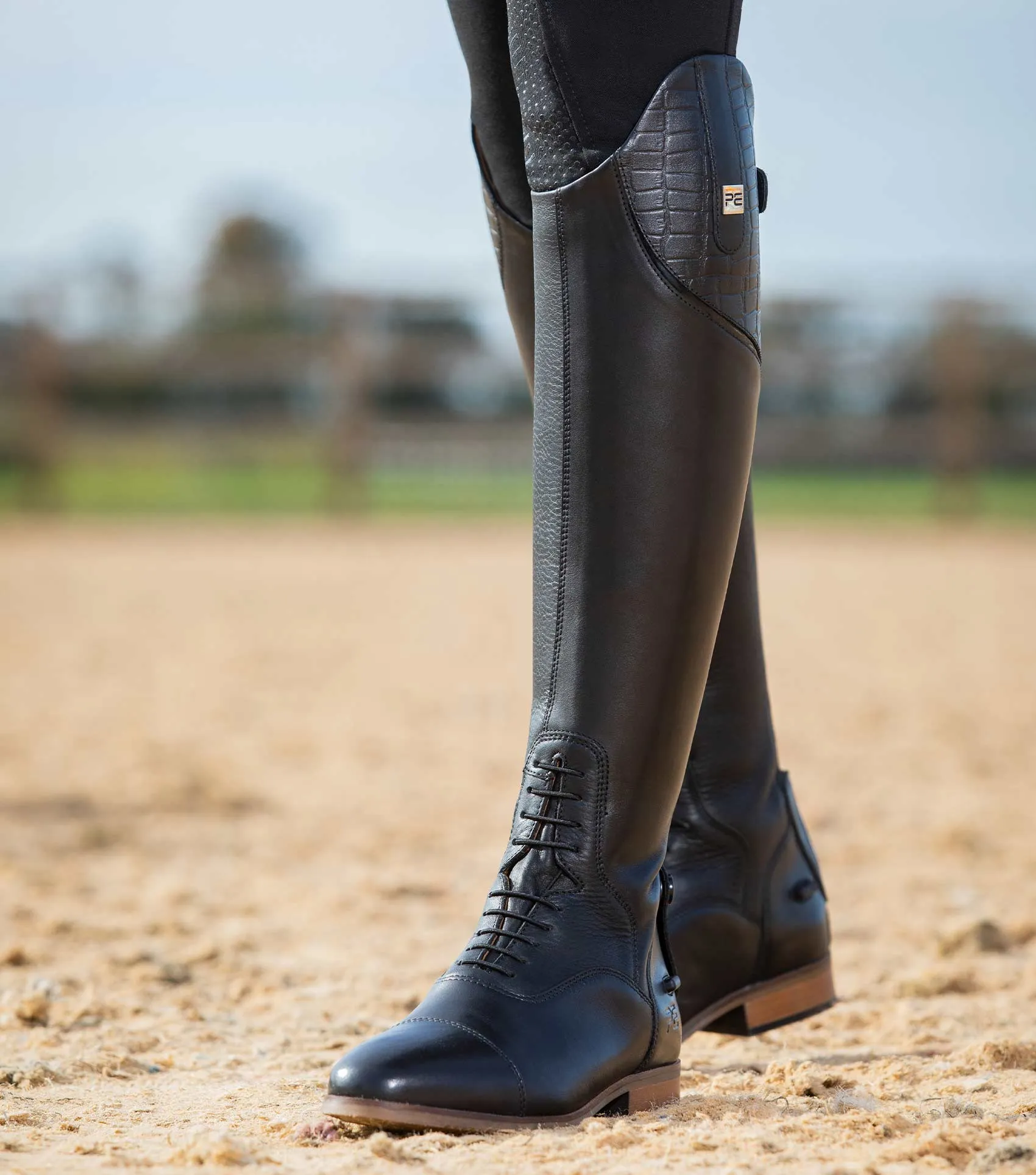 Passaggio Ladies Leather Field Tall Riding Boot Black (Regular Calf)